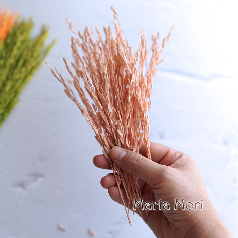 5g/Broomcorn Dyed Dried Nature - Candle Making Uk incelemesi ve fiyatı