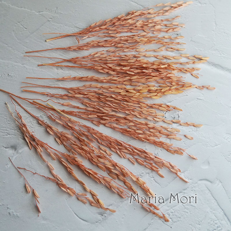 5g/Broomcorn Dyed Dried Nature - Candle Making Uk incelemesi ve fiyatı