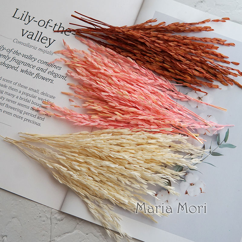 5g/Broomcorn Dyed Dried Nature - Candle Making Uk incelemesi ve fiyatı
