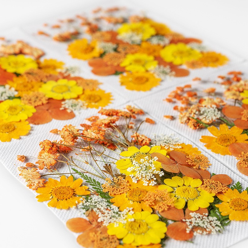 35Pcs10 Set of Dried Flowers a - Candle Making Set incelemesi ve fiyatı